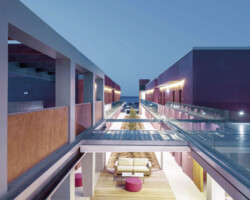 COOEE Corissia Harmony